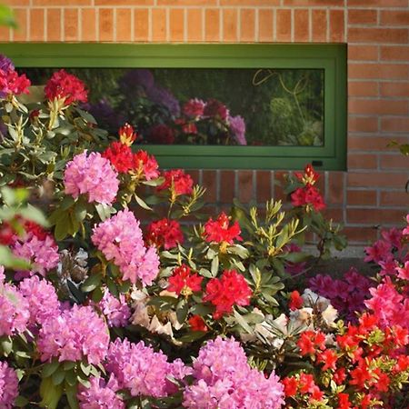 Villa Delle Ortensie Tavagnacco エクステリア 写真
