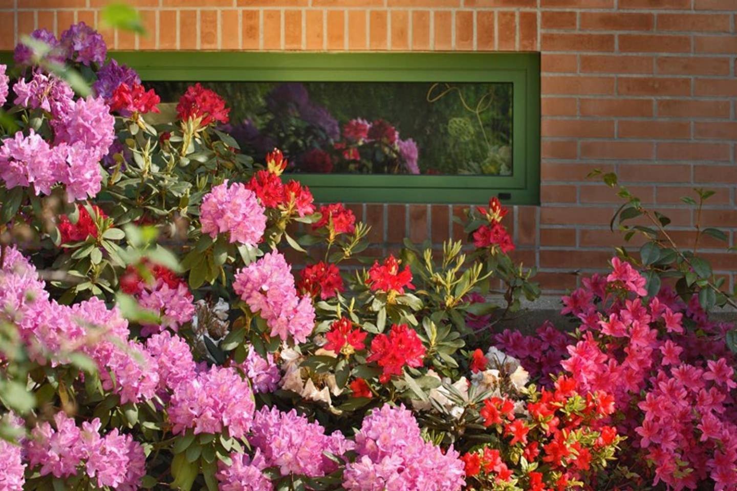 Villa Delle Ortensie Tavagnacco エクステリア 写真